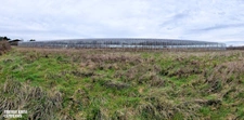 Terrain agricole douze hectares, vergers, hangar bio-climatique fermé, hangar ouvert, serres, rucher, lac artificiel,...