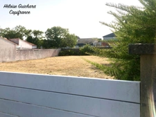 Terrain à vendre de 490 m2 + 108m2 (accès) Viabilisé à SAINT GILLES CROIX DE VIE (85)