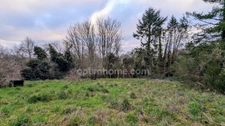 Maison de campagne à vendre 7 pièces : au calme entre Guengat et Plogonnec