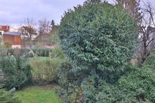 Dpt Hauts de Seine (92), for sale house P7 of 220 m² - Land of 520.00 m²