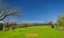 Terrain plat constructible de 2400 m² ESPINASSE VOZELLE (03)