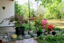 Exclusivité Maison à vendre 8 pièces CESTAS (33)
