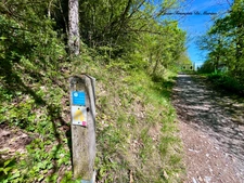 Chalet à vendre 1 pièce MONNETIER MORNEX (74)