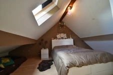 Maison à vendre 11 pièces LULLY (74)