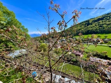 Chalet à vendre 1 pièce MONNETIER MORNEX (74)