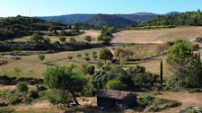 A VENDRE PROPRIETE DE 8 HECTARES AU COEUR DU  MINERVOIS (34)