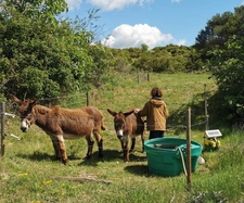 A VENDRE PROPRIETE DE 8 HECTARES AU COEUR DU  MINERVOIS (34)