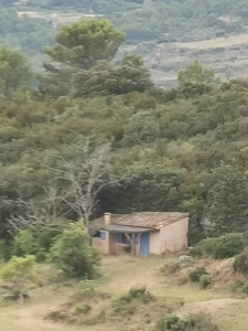 A VENDRE PROPRIETE DE 8 HECTARES AU COEUR DU  MINERVOIS (34)