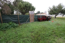 Vente d'un container restauration entièrement équipé neuf sur terrasse de 80 places