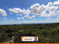 A VENDRE SUPERBE DOMAINE DE 8 HECTARES ENV AU COEUR DU  MINERVOIS (34)