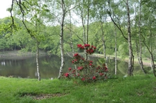  SUPERBE FERME AUBERGE, VENTE PRODUITS DE LA FERME, ELEVAGE.PRIX DU FONDS 102.000€ MURS 593.000€ FAI