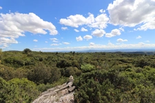 A VENDRE PROPRIETE DE 8 HECTARES AU COEUR DU  MINERVOIS (34)
