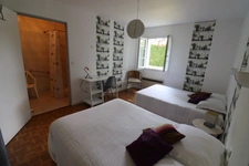 VENTE FONDS DE COMMERCE  AUBERGE, BAR AVEC LICENCE IV, GITES, USSON DU POITOU (86)