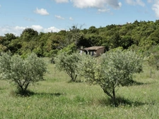 A VENDRE PROPRIETE DE 8 HECTARES AU COEUR DU  MINERVOIS (34)