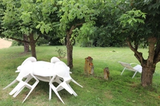 CHARMANTE MAISON CHARENTAISE  ENTIEREMENT RENOVEE, VUE DEGAGEE, SANS VIS A VIS 