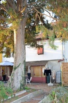 Maison à vendre 8 pièces ENSISHEIM (68)