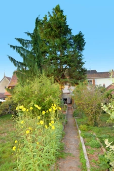 Maison à vendre 8 pièces ENSISHEIM (68)