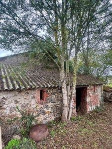 Longère à vendre Mauléon 