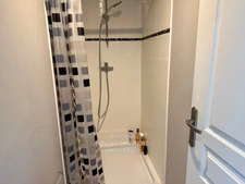 House for sale, 10 rooms, TIERCE (49)