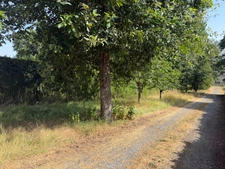 Dpt Maine et Loire (49), à vendre BAUGE terrain 