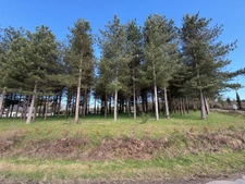 Terrain à vendre de 3 000,00 m² TIERCE (49)