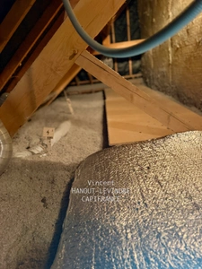 Maison à vendre 9 pièces LE RHEU (35)