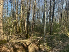 Terrain à vendre  LE VIEIL BAUGE (49)
