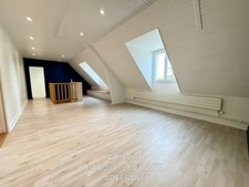 House for sale 12 rooms 7 bedrooms TIERCE (49)