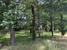 Dpt Maine et Loire (49), à vendre BAUGE terrain 