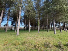 Terrain à vendre de 3 000,00 m² TIERCE (49)