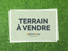 Terrain 