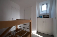 Maison viager à vendre 6 pièces BELZ (56)