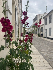 BATIMENT /Chai-grange/GARAGE - LOCAL  LE BOIS PLAGE EN RE 17580
