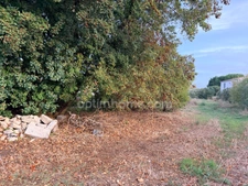 Terrain à vendre  LE BOIS PLAGE EN RE (17)