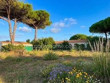 Terrain à vendre  LE BOIS PLAGE EN RE (17)