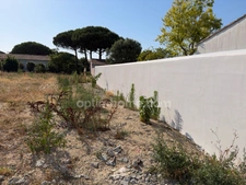 Terrain à vendre  LE BOIS PLAGE EN RE (17)