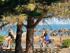 Maison avec grand terrain face mer  de 4 pièces RIVEDOUX PLAGE (17)