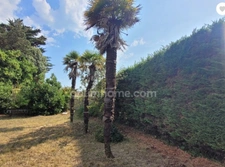Terrain à vendre  LE BOIS PLAGE EN RE (17)