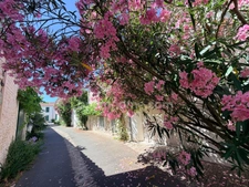 EXCLUSIVITÉ – MAISON DE VILLAGE AUTHENTIQUE EN PIERRES – (MARCHÉ & PLAGES)