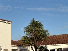 Maison Centre  village  6 pièces LE BOIS PLAGE EN RE (17580)