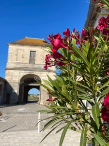 SAINT MARTIN DE RÉ CENTRE VILLAGE MAISON EN PIERRE DE CARACTERE 