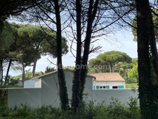 Maison dans la pinède de 5 pièces avec possibilités  LE BOIS PLAGE EN RE 17580