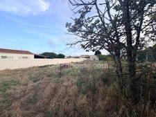 Terrain à vendre  LE BOIS PLAGE EN RE (17)