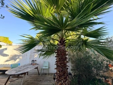 Maison de Charme au Cœur du Bois plage en Ré 