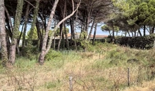 Terrain à vendre  LE BOIS PLAGE EN RE