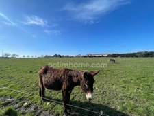 GRAND Terrain constructible ZAC à  NIORT 79000