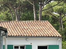 Maison dans la pinède de 5 pièces avec possibilités  LE BOIS PLAGE EN RE 17580