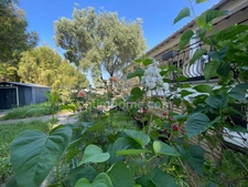 Maison à vendre 5 pièces  à St Martin de Ré 17410 Beau potentiel à rafraîchir