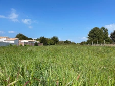 maison à vendre 5 pièces LE BOIS PLAGE EN RE (17)