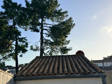 Appartement à vendre 2 pièces LA FLOTTE (17)